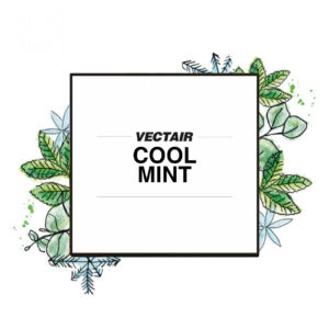 V-Air Solid Refills – Cool Mint – 6 units